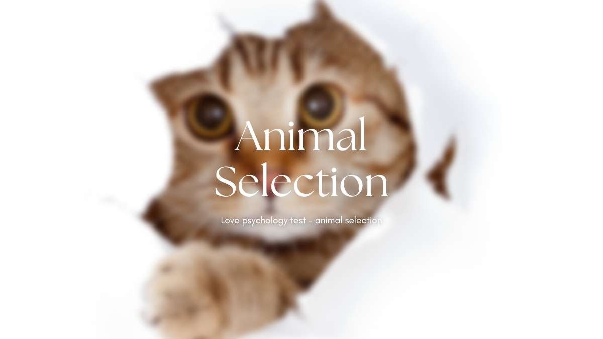 愛情心理測驗－動物選選
